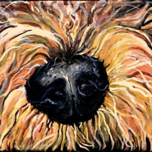 Meet your Posher, Natasha - Picture 1 of 1